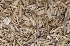 biomass boilers Throwleigh